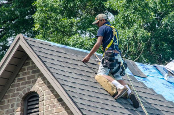 Best Roof Gutter Cleaning  in Mansfield, LA